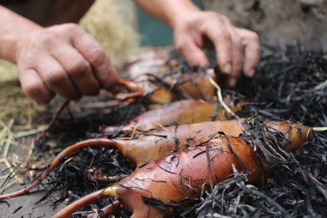 Kỳ lạ làng “nghiện” ăn thịt chuột ở Hà Nội, trẻ em và phụ nữ đều thích mê - 10
