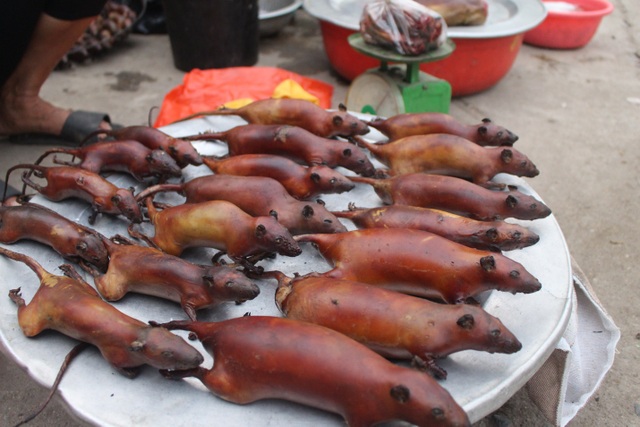 Strange in the village "addicted" to eating rat meat in Hanoi, children and women both love it - 12