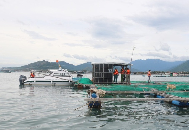 Nhiều tỉnh miền Trung khẩn trương ứng phó bão 12 - 2