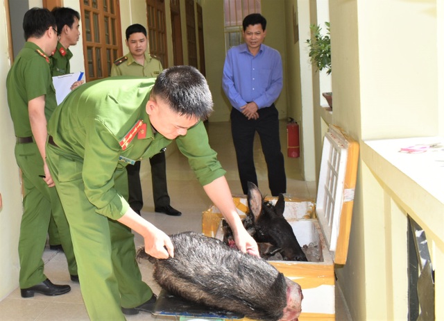 Lên mạng mua cá thể sơn dương, mang tiêu thụ thì bị bắt - 2