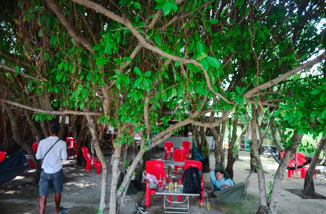 The coffee shop is made up of 24 "giant" si trees, cool inside like air conditioning in Long An - 13