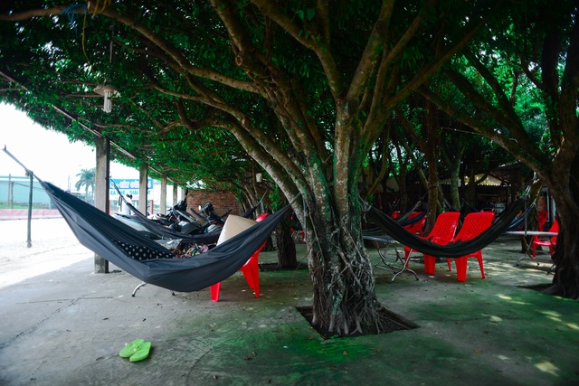 The cafe is made up of 24 "giant" si trees, cool inside like air conditioning in Long An - 7