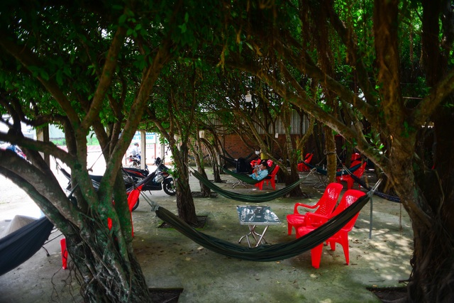 The cafe is made up of 24 "giant" si trees, cool inside like air-conditioning in Long An - 16