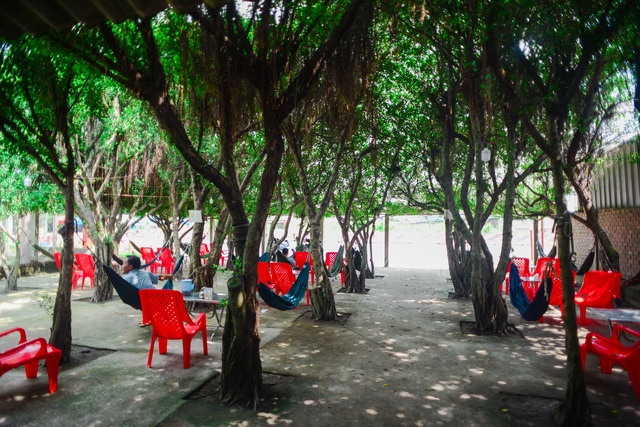 The coffee shop is made up of 24 "giant" si trees, cool inside like air conditioning in Long An - 15