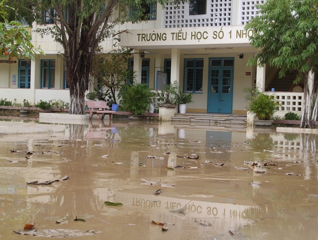 Ngày mai (12/11), học sinh Bình Định đi học trở lại sau bão số 12 | Báo Dân trí