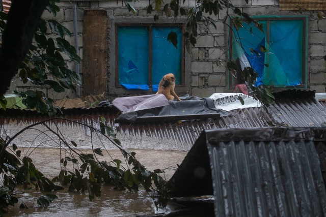 Typhoon Vamco swept the Philippines, Manila paralyzed in the 