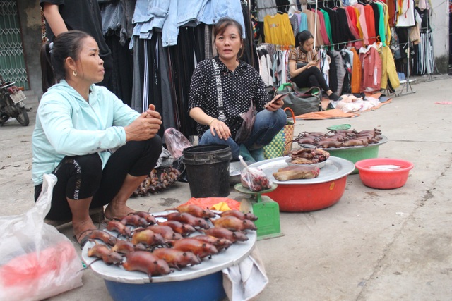 Follow "players" in Hanoi to hunt hamsters at night with only ... flashlight - 11