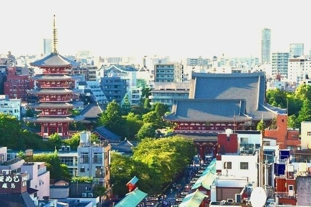 Cận cảnh đền thờ cổ kính nhất Tokyo rạng rỡ trong “lễ tưởng niệm hoa cúc” - 1 Cận cảnh đền thờ cổ kính nhất Tokyo rạng rỡ trong “lễ tưởng niệm hoa cúc” - 1