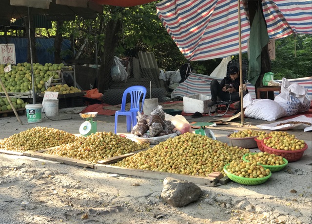 Táo mèo giá rẻ bán la liệt vỉa hè, dân Hà thành gom mua cả chục cân - 1