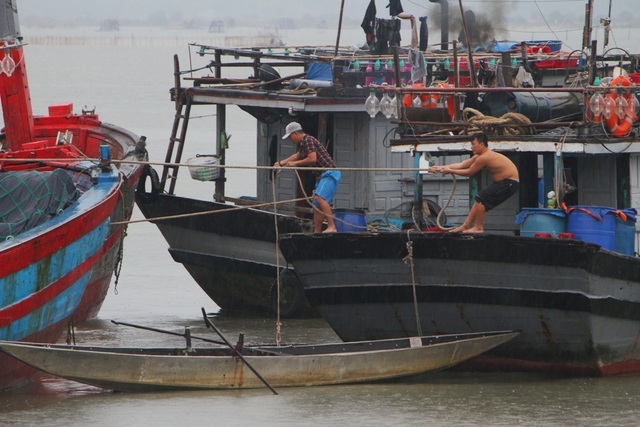 Vùng ven biển đã có gió to, người dân cấp tập chống bão - 9 Vùng ven biển đã có gió to, người dân cấp tập chống bão - 9