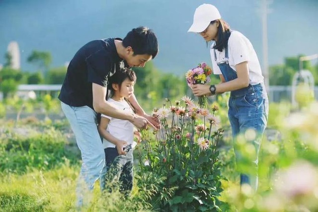 Bán nhà thành phố, vợ chồng về quê biến đất hoang thành vườn ngập hoa lá - 6 Bán nhà thành phố, vợ chồng về quê biến đất hoang thành vườn ngập hoa lá - 6