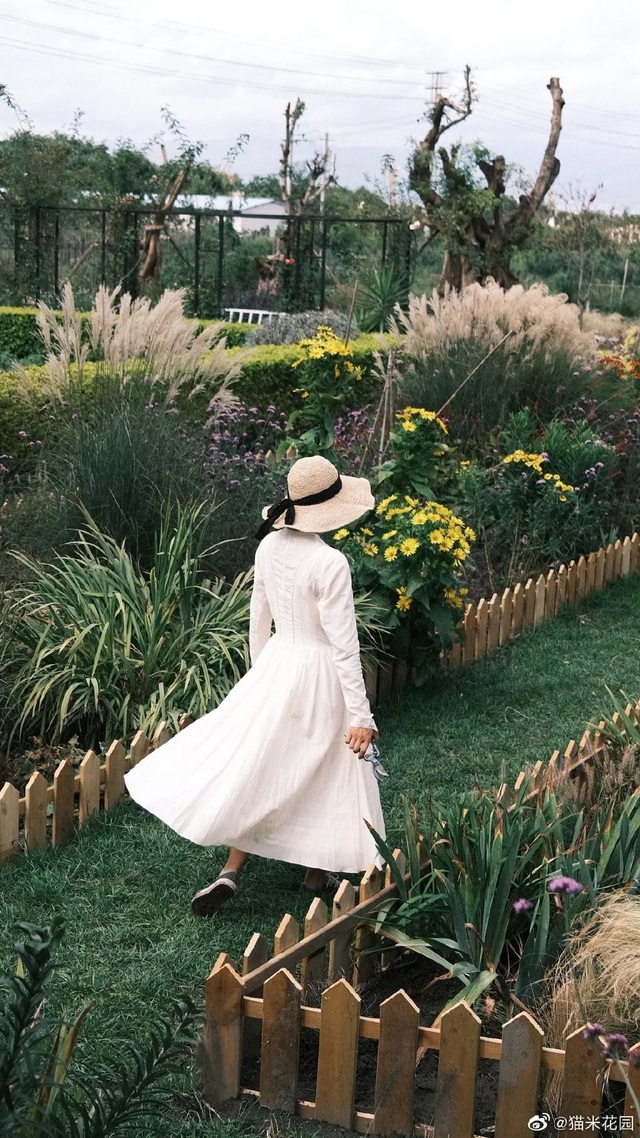 Bán nhà thành phố, vợ chồng về quê biến đất hoang thành vườn ngập hoa lá - 7 Bán nhà thành phố, vợ chồng về quê biến đất hoang thành vườn ngập hoa lá - 7