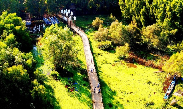 Tra Su Melaleuca Forest - Great view of the western floating season - 14