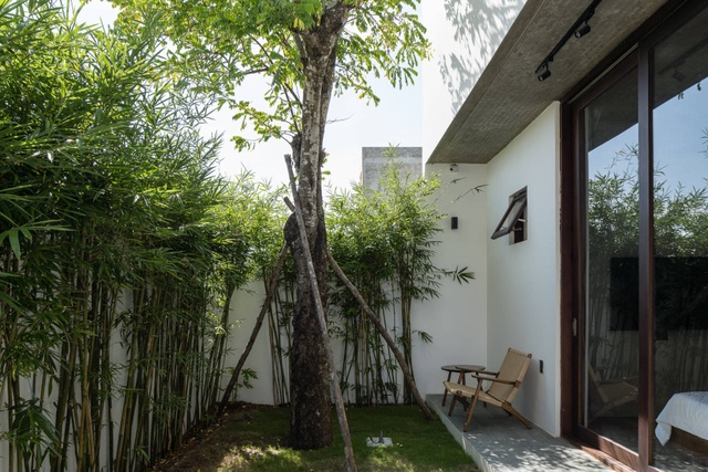 Mê mẩn nhà phố có vườn trong nhà của gia đình 3 thế hệ ở Đà Nẵng - 14 Mê mẩn nhà phố có vườn trong nhà của gia đình 3 thế hệ ở Đà Nẵng - 14