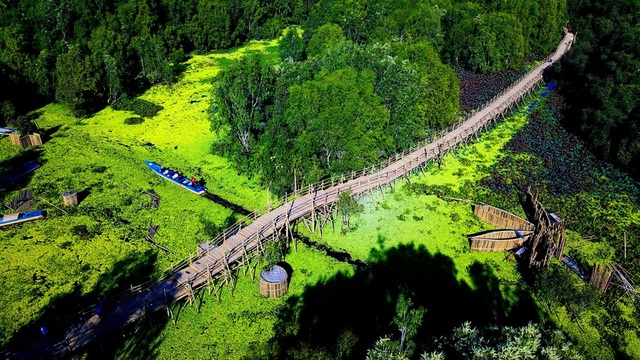 Tra Su Melaleuca Forest - Great view of the western floating season - 2