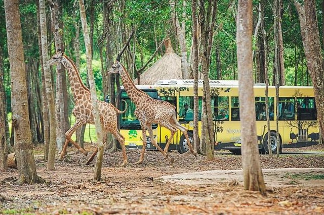 Lê Hiếu, Nguyên Hà, Gigi Hương Giang “đốn tim” khán giả với loạt hit trước hoàng hôn biển đẹp nhất Việt Nam - 10 Lê Hiếu, Nguyên Hà, Gigi Hương Giang “đốn tim” khán giả với loạt hit trước hoàng hôn biển đẹp nhất Việt Nam - 10