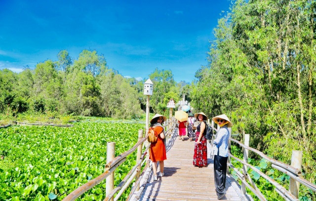 Tra Su Melaleuca Forest - Great view of the western floating season - 3