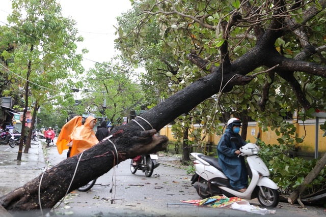 Tàu chìm, nhà sập, trường học tốc mái, cây xanh ngã đổ trong bão số 13 - 14