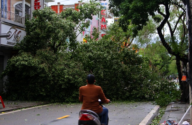 Tàu chìm, nhà sập, trường học tốc mái, cây xanh ngã đổ trong bão số 13 - 16