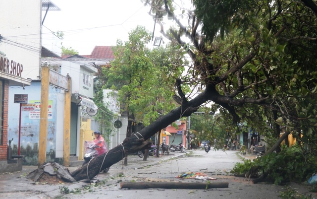 Tàu chìm, nhà sập, trường học tốc mái, cây xanh ngã đổ trong bão số 13 - 19