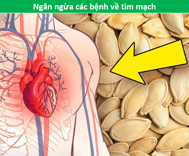 Ăn nhiều bí đỏ giúp phòng ngừa hiệu quả ung thư và bệnh tim mạch - 5