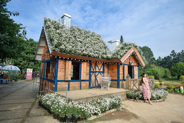 The unique chrysanthemum house in Hanoi, customers "rushed" to check-in to take pictures - 9