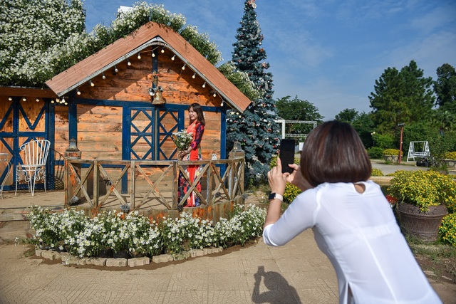 The unique chrysanthemum house in Hanoi, "massively" guests flocked to check-in to take pictures - 10