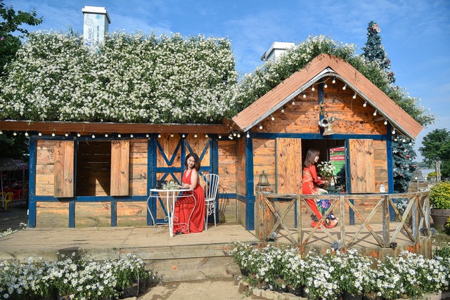 The unique chrysanthemum house in Hanoi, "massively" guests flocked to check-in to take pictures - 1