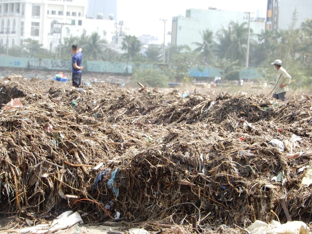 Lượng rác khổng lồ bịt kín bờ biển Đà Nẵng sau bão 13 - 3