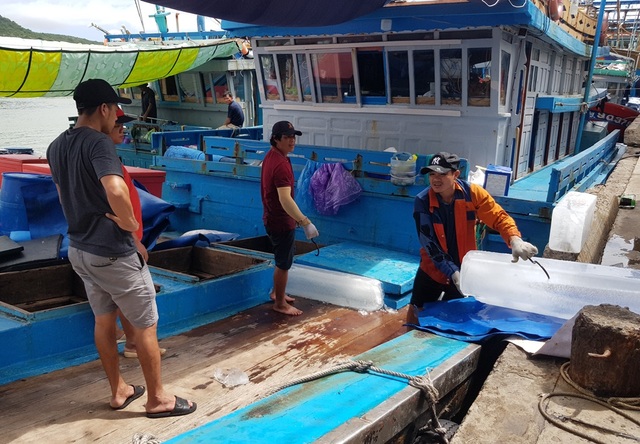 Khánh Hòa: Ngư dân hối hả vươn khơi Trường Sa sau bão số 13 - 3 Khánh Hòa: Ngư dân hối hả vươn khơi Trường Sa sau bão số 13 - 3