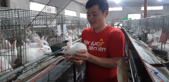 Mỗi năm bỏ túi hơn 500 triệu đồng nhờ nuôi thỏ New Zealand - 7 Mỗi năm bỏ túi hơn 500 triệu đồng nhờ nuôi thỏ New Zealand - 7