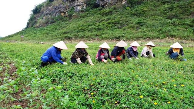 Chàng trai không chân khởi nghiệp với thương hiệu xà phòng - 3 Chàng trai không chân khởi nghiệp với thương hiệu xà phòng - 3