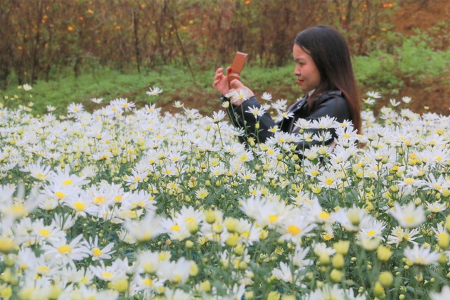 Chrysanthemum garden attracts thousands of people who come to take pictures and do not want to return to Ninh Binh - 12