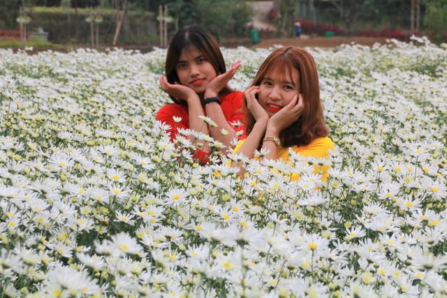 Chrysanthemum garden attracts thousands of people who come to take pictures and do not want to return to Ninh Binh - 4