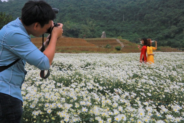 Chrysanthemum garden attracts thousands of people who come to take pictures and do not want to go back to Ninh Binh - 8