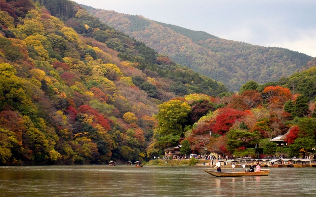 Đến Tokyo vào mùa thu, dự lễ hội lá phong nổi tiếng nhất nước Nhật - 1 Đến Tokyo vào mùa thu, dự lễ hội lá phong nổi tiếng nhất nước Nhật - 1