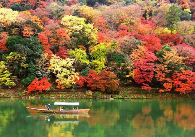 Đến Tokyo vào mùa thu, dự lễ hội lá phong nổi tiếng nhất nước Nhật - 6 Đến Tokyo vào mùa thu, dự lễ hội lá phong nổi tiếng nhất nước Nhật - 6