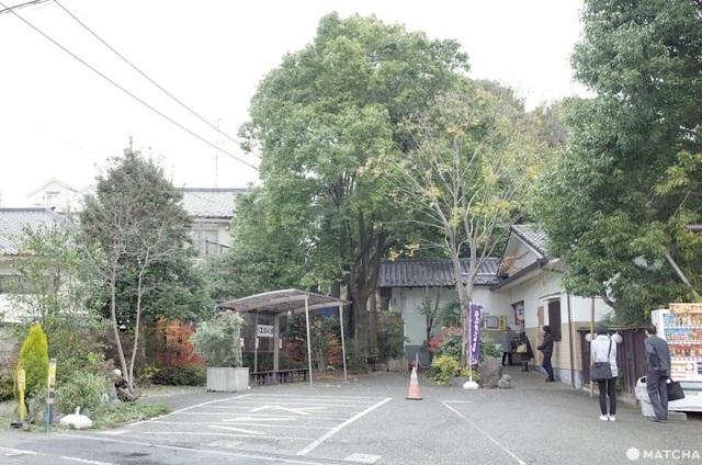 Onsen nước đen độc đáo tại Tokyo - 1 Onsen nước đen độc đáo tại Tokyo - 1