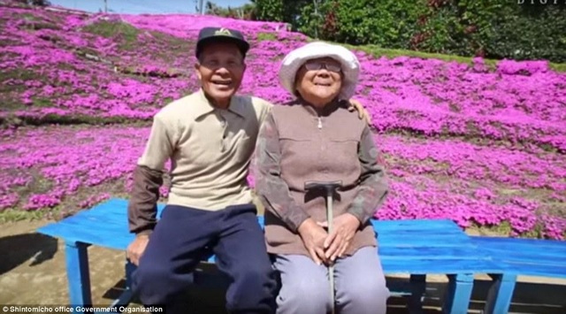 Vườn hoa đẹp như cổ tích của người đàn ông dành 10 năm trồng tặng vợ - 1 Vườn hoa đẹp như cổ tích của người đàn ông dành 10 năm trồng tặng vợ - 1