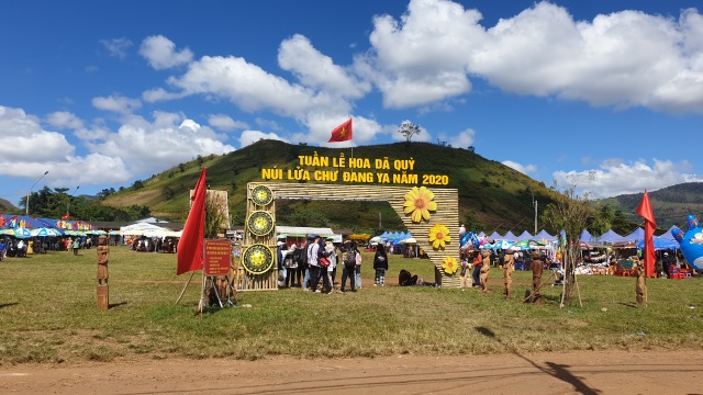 People flocked to the unique wildflowers festival in Gia Lai - 1