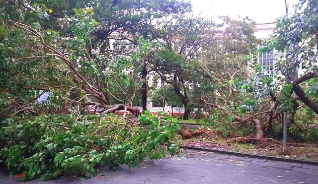 Bão lũ dồn dập, Đại học Huế thiệt hại nặng nề - 6 Bão lũ dồn dập, Đại học Huế thiệt hại nặng nề - 6
