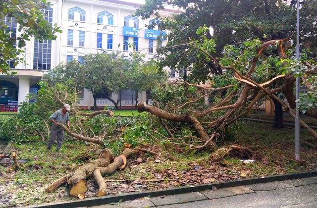 Bão lũ dồn dập, Đại học Huế thiệt hại nặng nề - 7 Bão lũ dồn dập, Đại học Huế thiệt hại nặng nề - 7