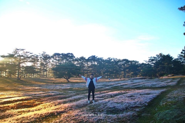 Picturesque season of persimmon Da Lat - 4