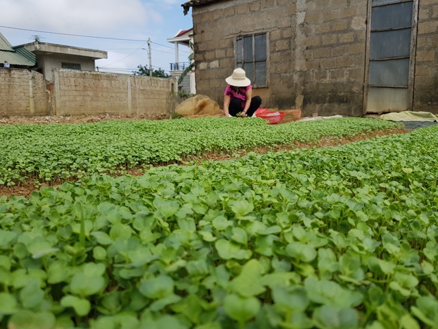 Dồn lực tái thiết kinh tế miền Trung sau bão lũ lịch sử - 3