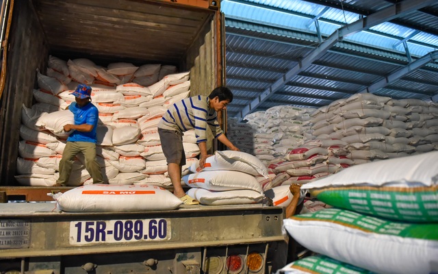 9X bỏ việc an nhàn về quê chế biến gạo, thu hàng chục tỷ đồng mỗi năm - 4