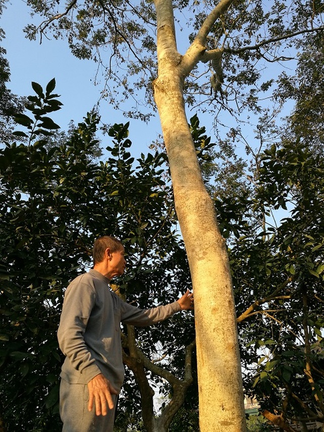 How is the trillion dong treasure in Old Farmer Tuyen Quang's valley now?  - 3