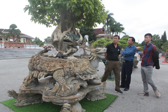 Đại gia chi gần 10 tỷ đồng mua cây cảnh đặt trên sân thượng ngắm mỗi ngày - 2 Đại gia chi gần 10 tỷ đồng mua cây cảnh đặt trên sân thượng ngắm mỗi ngày - 2