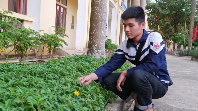 Giấc mơ sản phẩm thảo mộc bảo vệ rau màu của cô trò xứ Nghệ - 3 Giấc mơ sản phẩm thảo mộc bảo vệ rau màu của cô trò xứ Nghệ - 3
