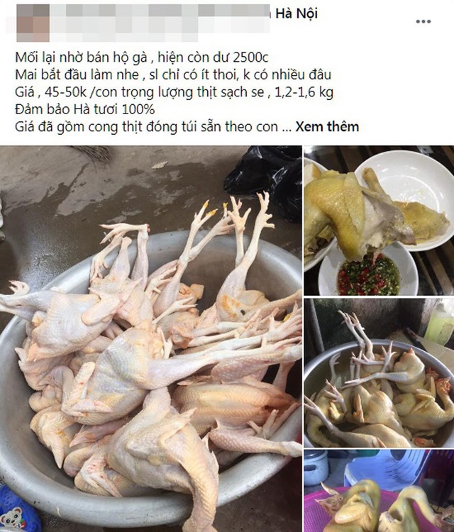 Sự thật gà ri đặc sản 45.000 đồng/con bán tràn chợ mạng - 1 Sự thật gà ri đặc sản 45.000 đồng/con bán tràn chợ mạng - 1