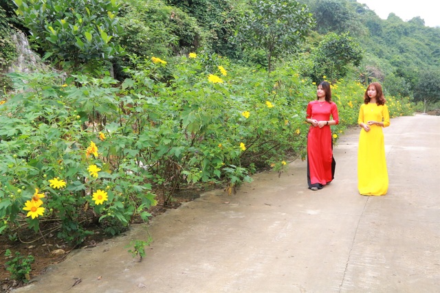 The famous flower Dalat flower-silk in Trang An captivates visitors - 4